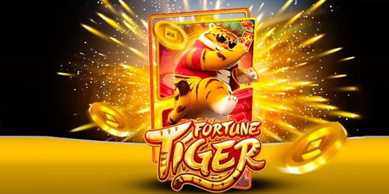 Quem é o Fortune Tiger 595bet.Com